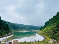 -武陵山森林公园