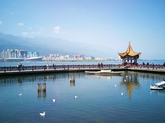 -洱海月湿地公园
