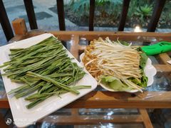 -二荆条·蜀鲜汇城市森林火锅