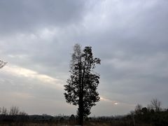 -崇阳三特浪口温泉