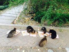 -苏州河梦清园环保主题公园