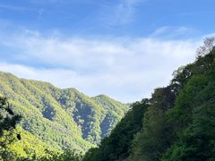 -王顺山国家森林公园