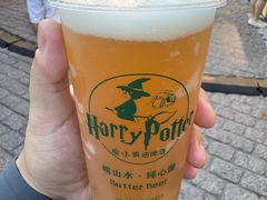 -劈柴院