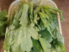 茼蒿菜-鲜潭蒸汽石锅鱼(五道口购物中心店)