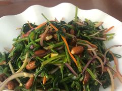 -祝家饺子馆