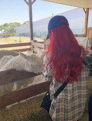 -HG美发设计沙龙