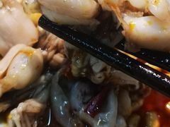 -蜀今朝美蛙鱼头火锅(筠连店)