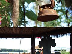 -呀路古热带植物园