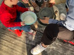 -前小桔亲子创意农场·草莓采摘·露营烧烤