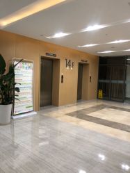 -上海交通大学医学院附属上海儿童医学中心(陆家嘴总院区)