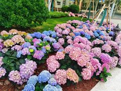 -徐家汇源景区-衡山公园