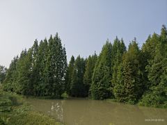 -桤木河湿地公园