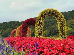 -广州市石门国家森林公园