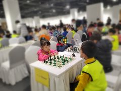 -常青藤国际象棋(新奥店)