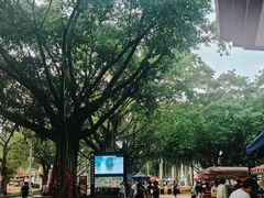 -南宁花花大世界景区