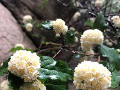 -碓臼峪自然风景区