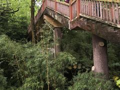 -南山植物园