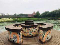 -大塘金香草谷
