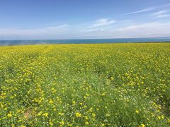 -青海湖国家重点风景名胜区