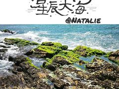 -盐洲岛