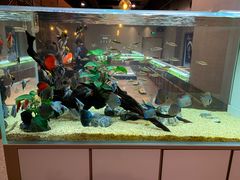 -黄鱼炙夜(华家池店)