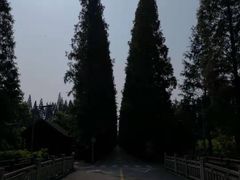 -金岛生态园烧烤露营地