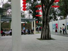 -广州雕塑公园