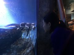 -暹罗海洋世界