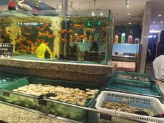 -初色海鲜自助(万丰路店)