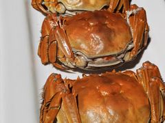 -金枝玉叶上海人家食府(三里河店)