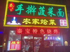 -秦君宝手擀菠菜面(金花路店)