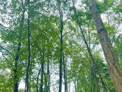 -海窝子古镇