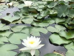 -白马涧龙池景区