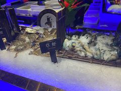 -加餐海鲜自助(宝龙一城店)