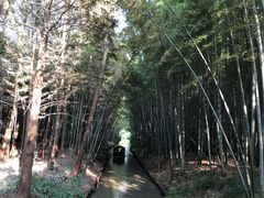 -同里国家湿地公园
