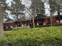 -Oasis Beauty水磨坊科技美肤中心