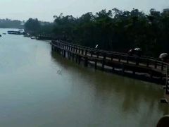 -东寨港红树林旅游区