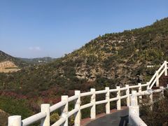 -五龙城郊森林公园