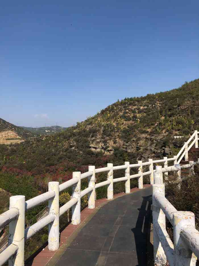 五龙城郊森林公园-"太原市东山明显不如西山治理的好,没有重视.