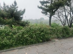 -蓬莱阁景区