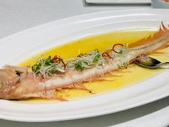 野生红带鱼-涵苑私宴定制(外滩店)