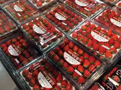 -乐天超市(蚕室店)