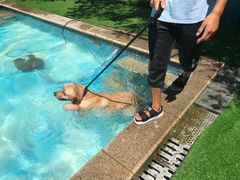 -汪说喵讲宠物乐园宠物酒店(红星美凯龙店)