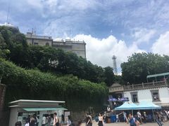 -上海佘山国家森林公园西佘山园