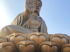 -龙口南山旅游景区