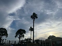 -碧海金沙