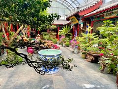 -白家大院·王府宫廷菜(苏州街店)