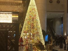 -长沙富力万达文华酒店