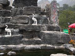-大岭沟猕猴桃谷风景区
