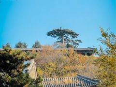 -妙峰山风景名胜区